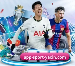 亚新 APP 界面